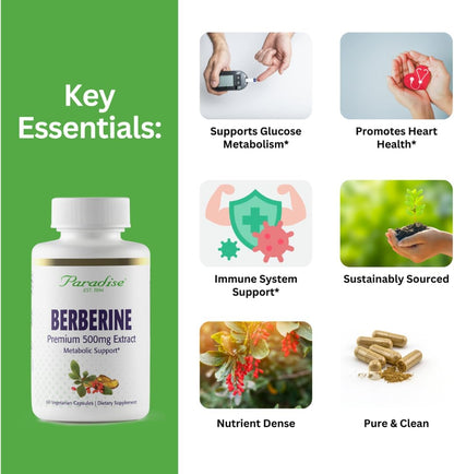 Paradise Herbs Berberine Extract, 500 mg, 60 Vegetarian Capsules