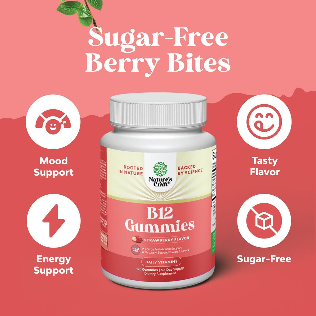 Natures Craft Vitamin B12 Gummies - Sugar Free, 1000 µg, 120 Count - görsel 2