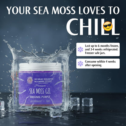 Organic Raw Purple Chondrus Crispus (Irish Moss) Sea Moss Gel - 227 g