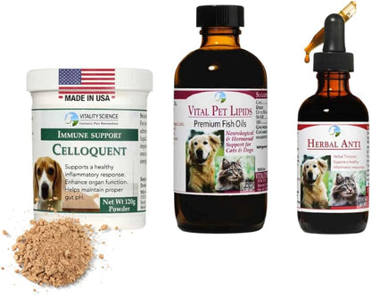 Vitality Science Advanced Immune Restoration Supplements for Dogs | Intensive Regeneration Protocol | Helps with Pain Relief (Medium)
