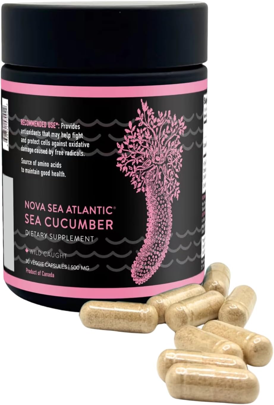 Nova Sea Atlantic Sea Cucumber Supplement – Wild Caught, 60 Capsules - görsel 8