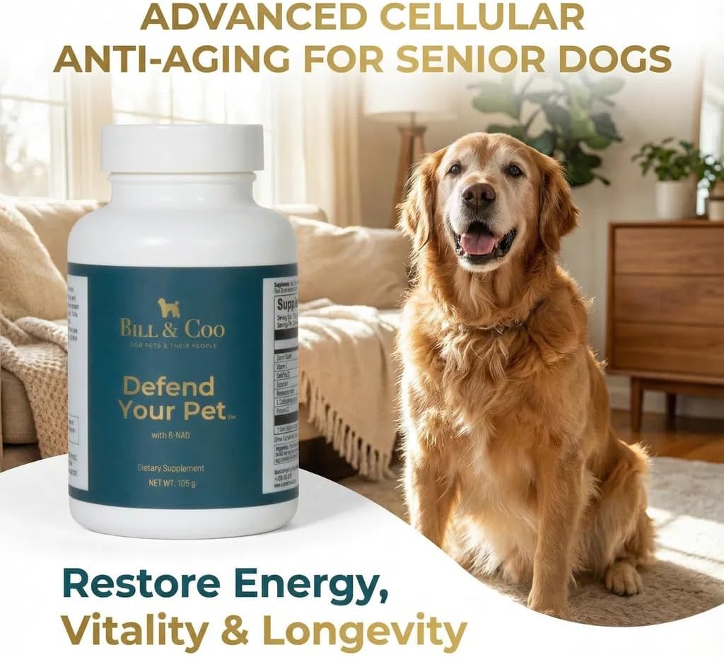 BILL & COO Defend Your Pet β-NAD Supplement for Senior Dogs – Advanced Cellular Anti-Ageing with Vitamins C, D, K2, Probiotics & Digestive Enzymes (105g) - görsel 3