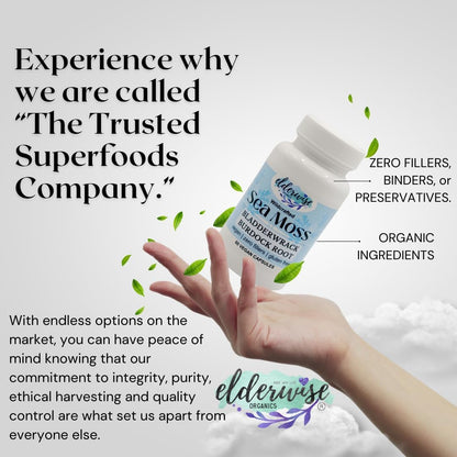 Elderwise Sea Moss Capsules with Burdock Root & Bladderwrack | Superfood Supplement | 60 Vegan Capsules | 30-Day Supply | 1400mg