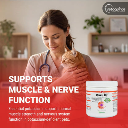 Vetoquinol Renal K - Potassium Supplement Powder for Dogs & Cats - Supports Kidney Health - 99g