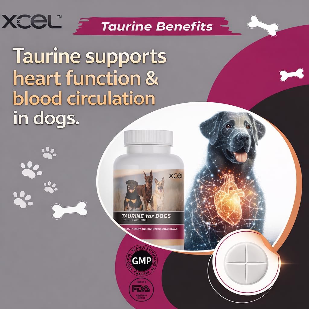 XCEL Taurine for Dogs 1000 mg with L-Carnitine, Quarter-Scored Tablets - görsel 5