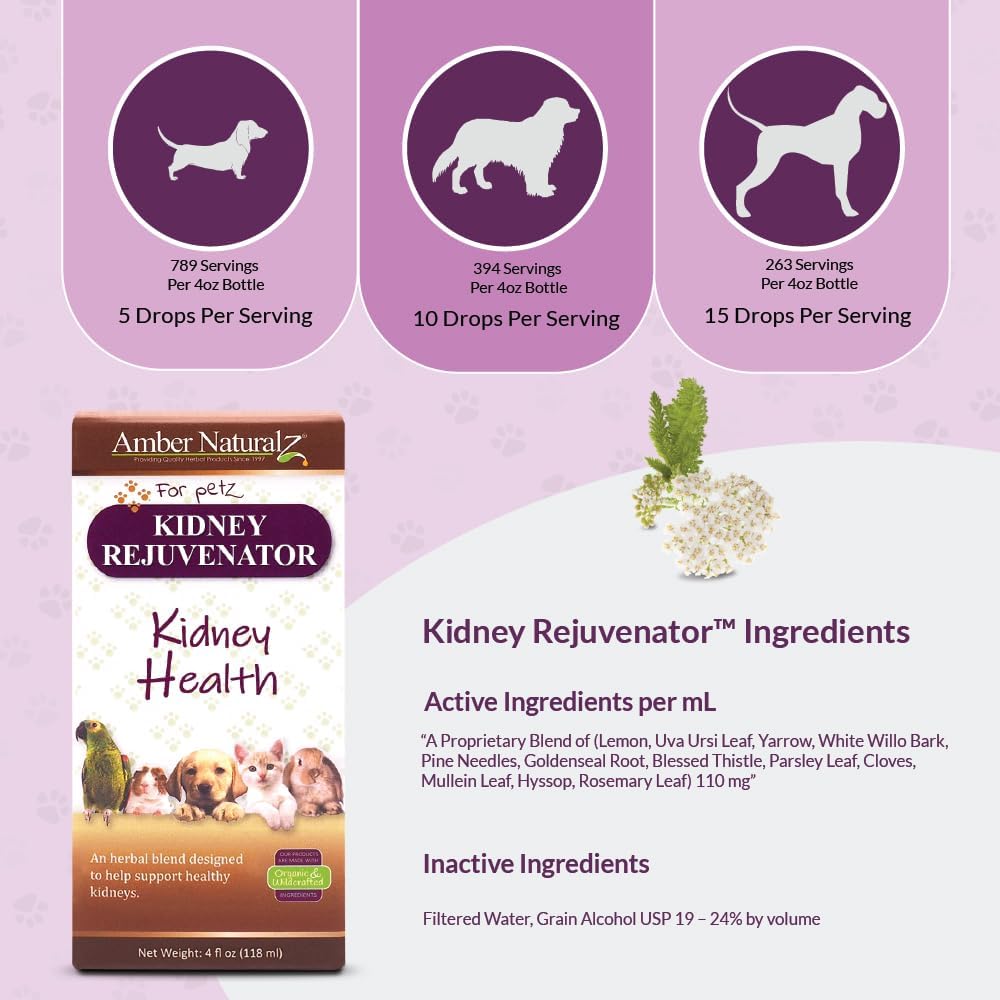 Amber NaturalZ Kidney Rejuvenator Herbal Supplement for Pets – 4 fl oz - görsel 4
