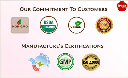 Iyasa Holistics Organic Amla Powder 454g (16 oz) - USDA Certified Organic Indian Gooseberry Superfood