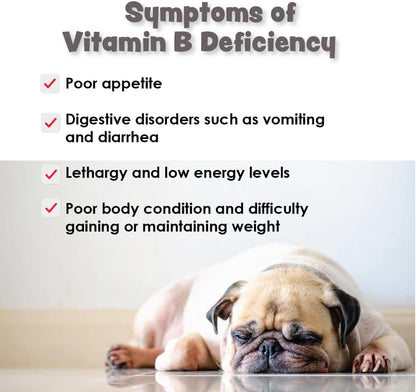 CobalaVet Vitamin B12 & B9 for Small Dogs & Cats – Supports Nervous System, Brain Function, Immune Defences & Cell Growth – Blood Cell Formation – Metabolic Pathway – 60 Soft Chews
