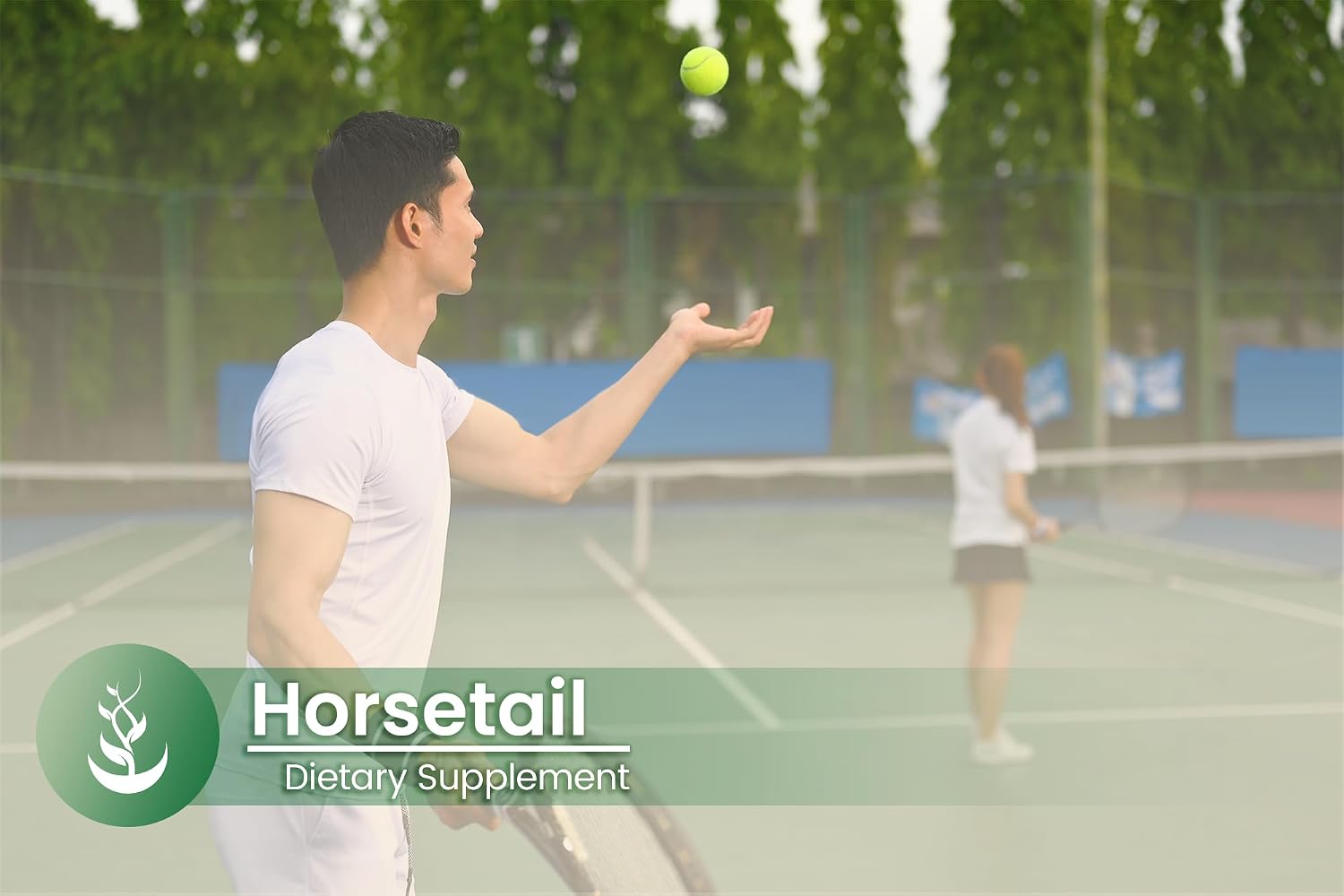 Pure Original Ingredients Horsetail, 100 Capsules - görsel 5