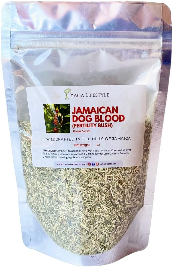Jamaican Dog Blood Bush | Fertility Herb - görsel 1