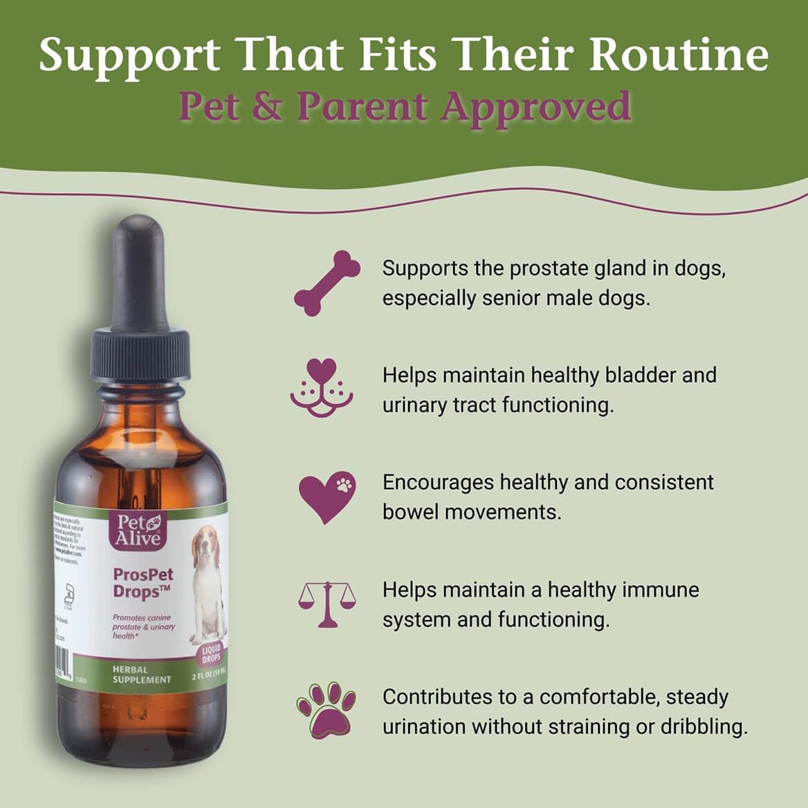 PetAlive ProsPet Drops – Herbal Supplement for Dog Prostate, Bladder & Urinary Support - görsel 3
