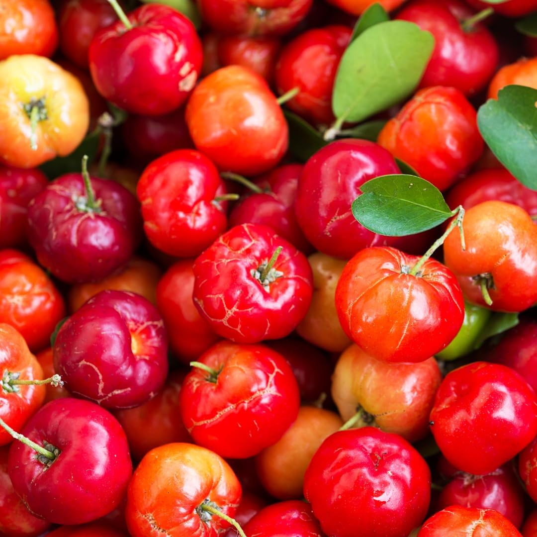 Pure Original Ingredients Acerola Cherry (100 Capsules) - Pure, No Additives - görsel 5