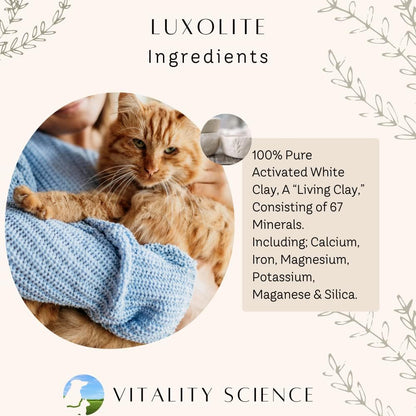 Vitality Science TRDV Protocol for Dogs | Probiotics for Diarrhoea & Digestive Support | Supplements for Dog Immune Support | Anti Diarrhoea for Dogs (Beef, Small)