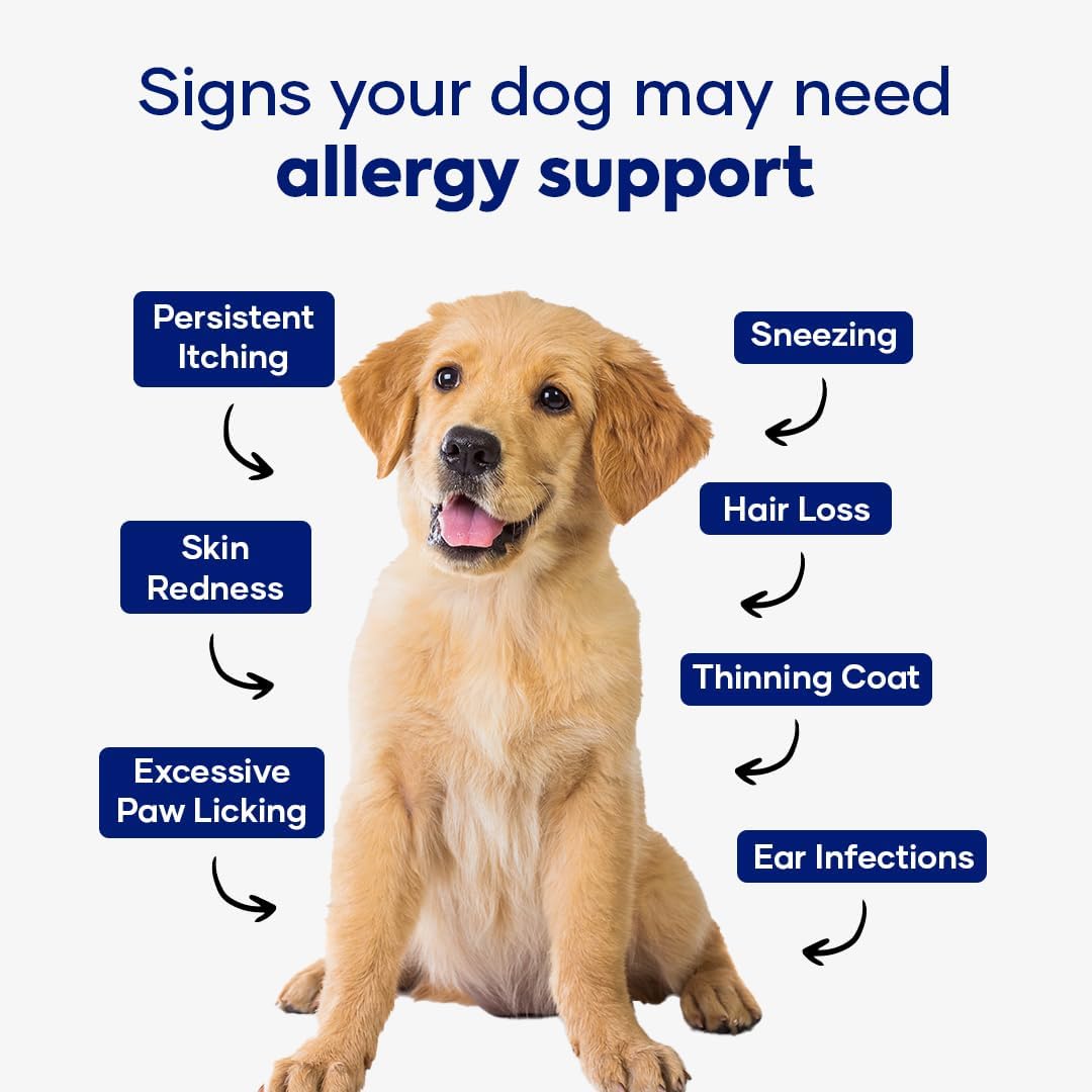 Aniwell Allergy & Immune Support Chews for Dogs – Astragalus & Flaxseed C3 – Soft Chews - görsel 3