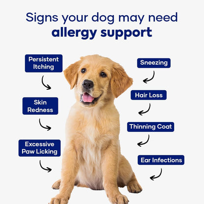Aniwell Allergy & Immune Support Chews for Dogs – Astragalus & Flaxseed C3 – Soft Chews