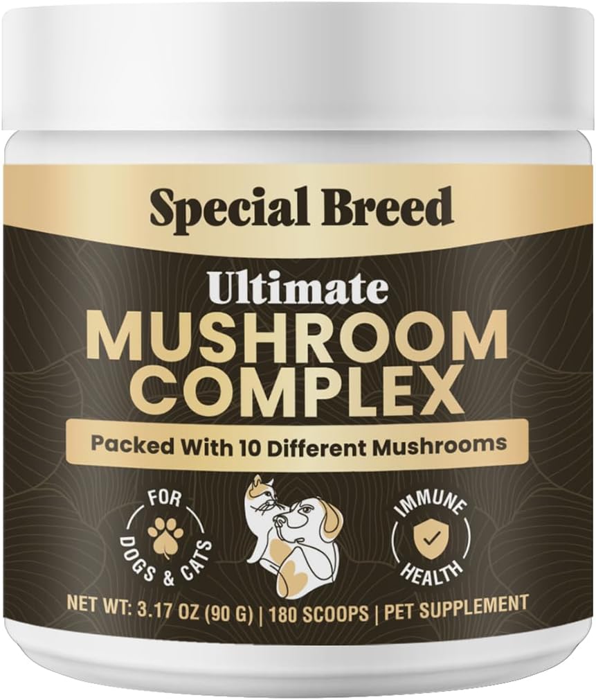 Organic Mushroom Powder for Dogs and Cats - Organic Mushroom Complex for Immune Support, Cognition and Vitality - 180 Scoops - görsel 1
