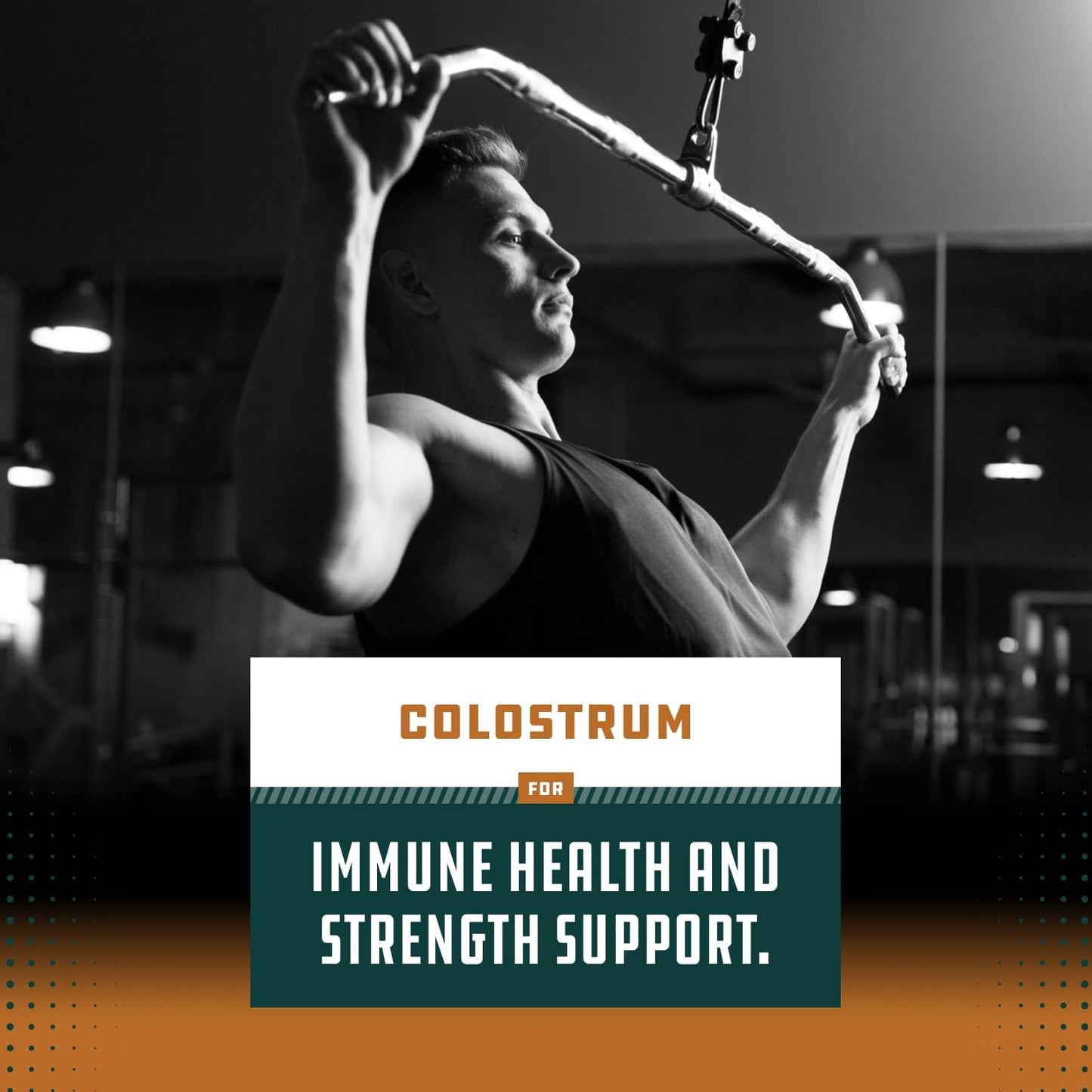 Bovine Colostrum Capsules with Immunoglobulin G – Gut Health, Immune Support and Muscle Recovery (60 Capsules) - görsel 6