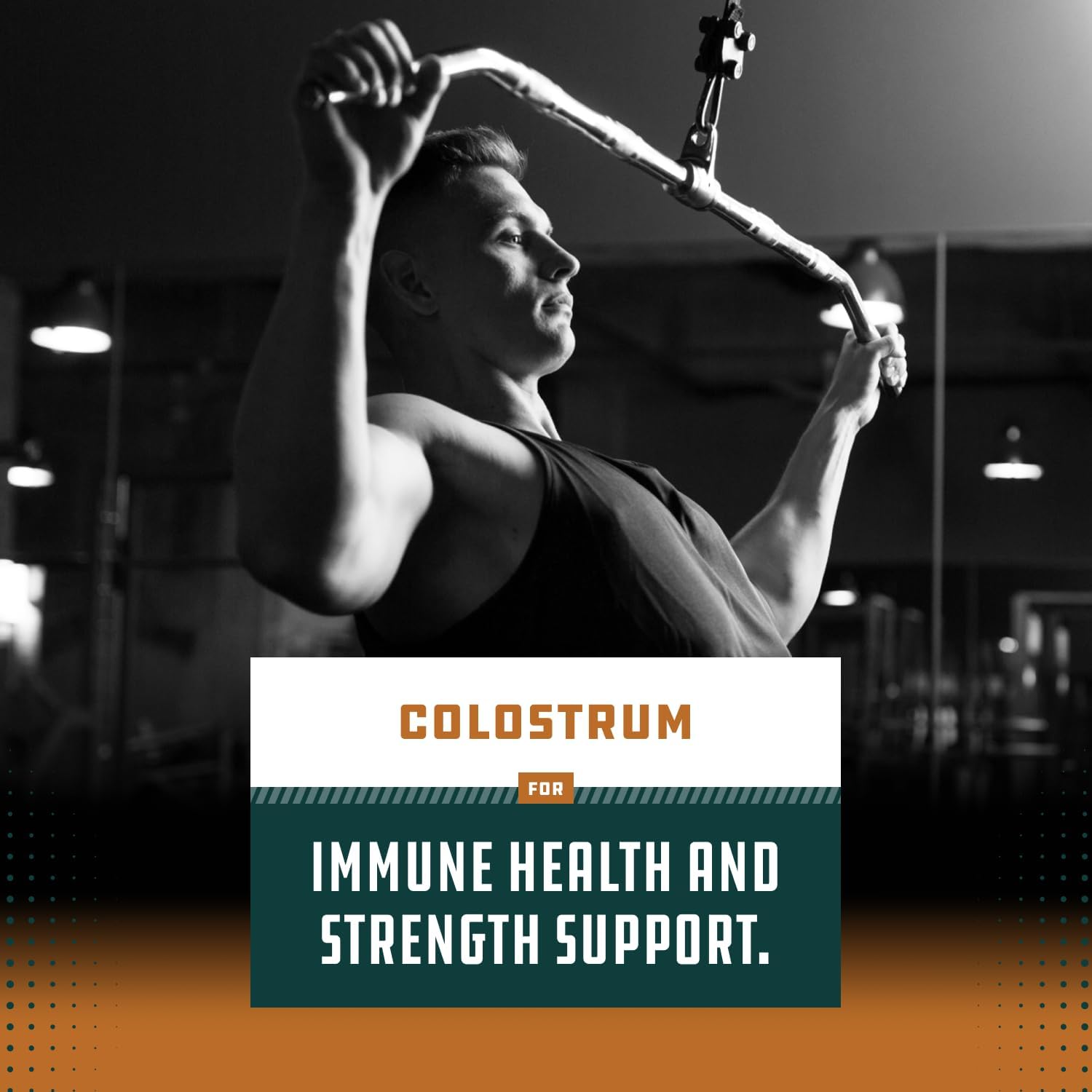 Bovine Colostrum Capsules with Immunoglobulin G – Gut Health, Immune Support and Muscle Recovery (60 Capsules) - görsel 6