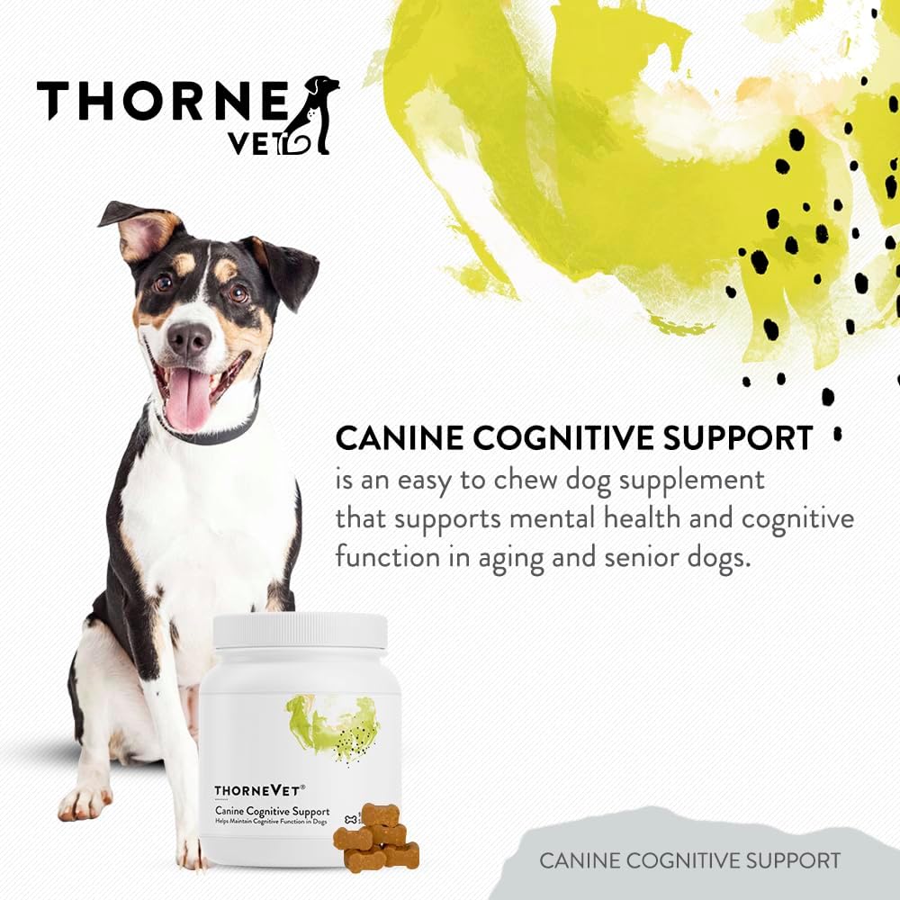 ThorneVet Canine Cognitive Support Soft Chews for Dogs – 90 Count - görsel 2