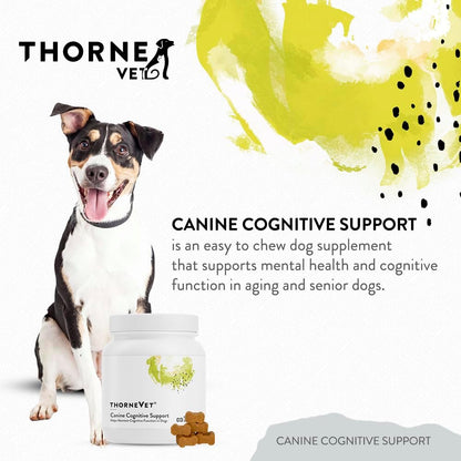 ThorneVet Canine Cognitive Support Soft Chews for Dogs – 90 Count