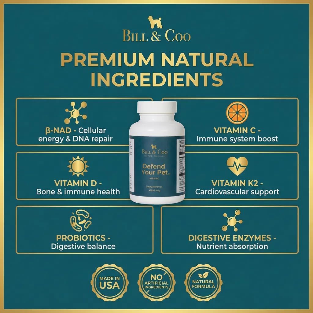 BILL & COO Defend Your Pet β-NAD Supplement for Senior Dogs – Advanced Cellular Anti-Ageing with Vitamins C, D, K2, Probiotics & Digestive Enzymes (105g) - görsel 5
