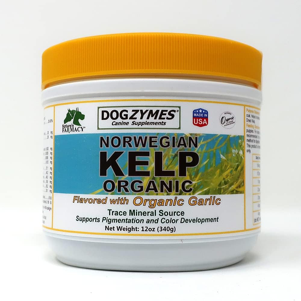 Dogzymes Organic Norwegian Kelp for Pets – 340g - görsel 7