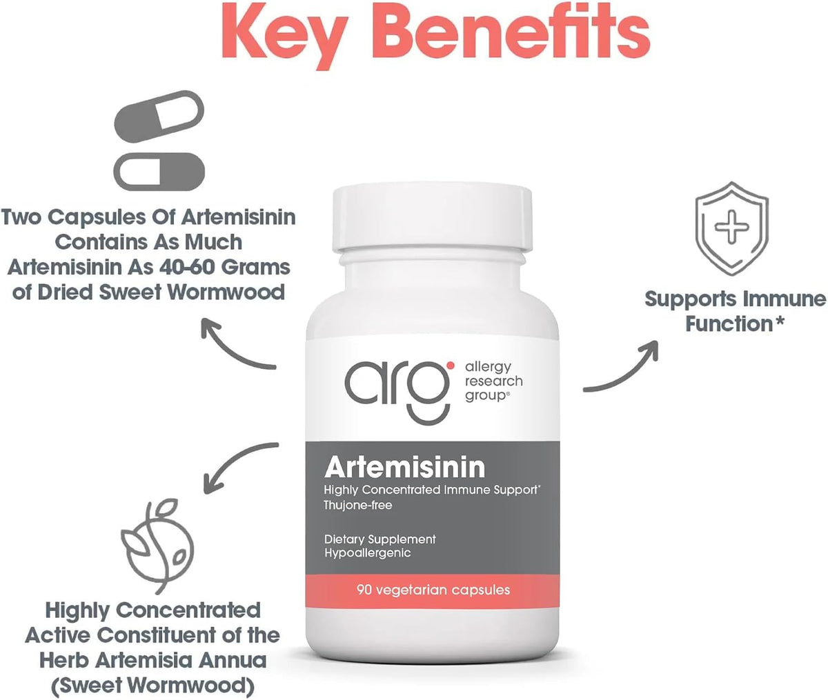 ARG Artemisinin - 200 mg Sweet Wormwood Extract - Traditional Immune & Digestive Support - 90 Capsules - görsel 4