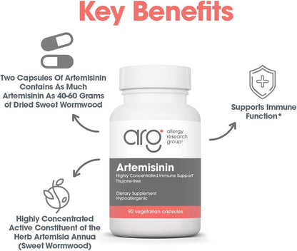 ARG Artemisinin - 200 mg Sweet Wormwood Extract - Traditional Immune & Digestive Support - 90 Capsules