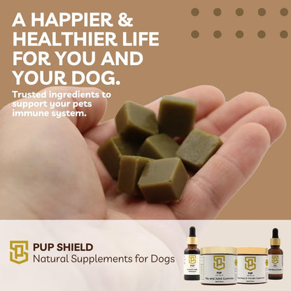 Pup Shield Natural Immune Support for Dogs - Probiotics with Olive Leaf, Turkey Tail & Echinacea - 30-Day Supply