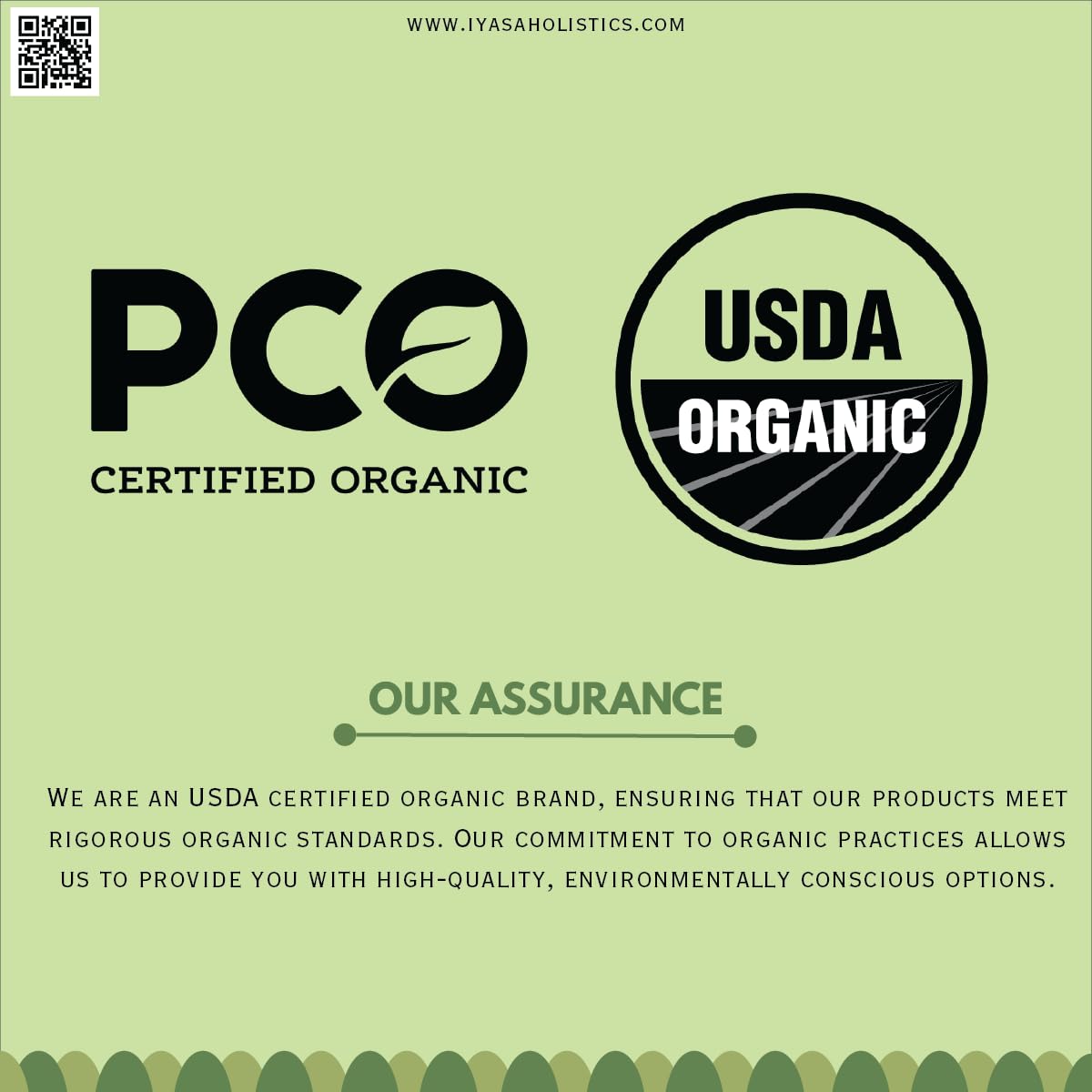 Iyasa Holistics Organic Amla Powder 454g (16 oz) - USDA Certified Organic Indian Gooseberry Superfood - görsel 6