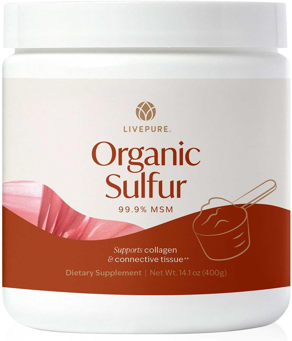 PURE Organic Sulphur MSM Powder - 400g (14.1 oz) - 99.9% Pure, Vegan Joint Support Supplement - görsel 1