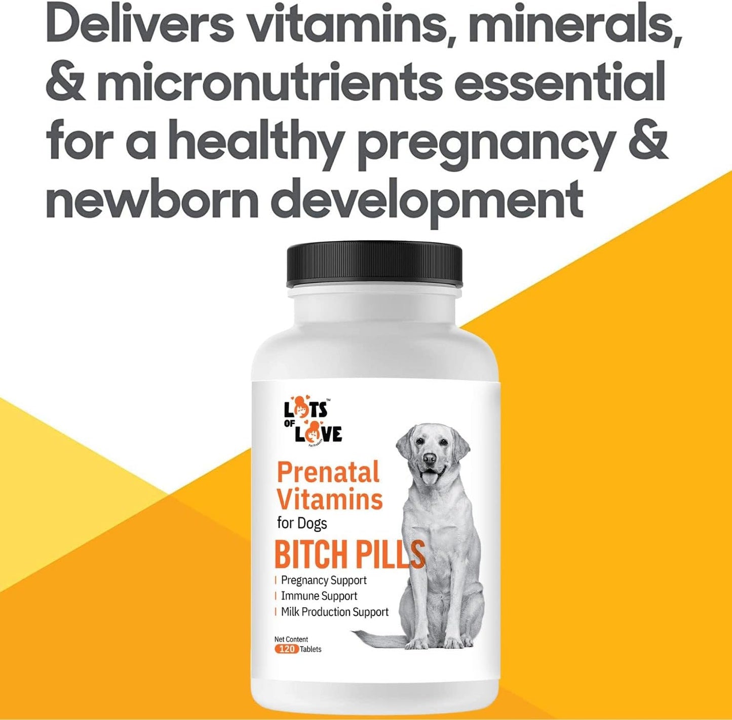 Bitch Pills | Dog Prenatal Vitamins | Prenatal Vitamins for Dogs | Prenatal for Dogs | Thomas Pet Earlier | 120 Tablets - görsel 5