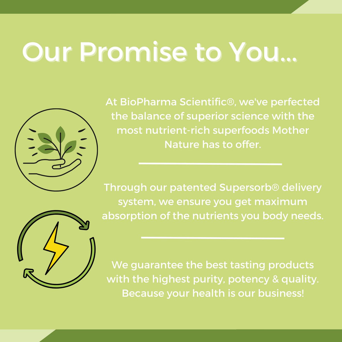 NanoMeal Plant-Based All-in-One Nutrition | Superfood Meal Replacement Powder | Tropical Fruit Blend | 10 Servings | – Image 6