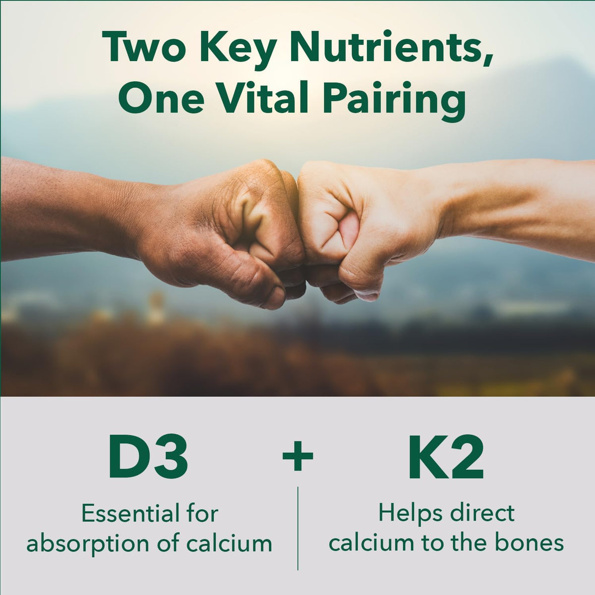 PlantFusion Organic Vegan Vitamin D3 + K2 5,000 IU, 50MCG - 60 Capsules - görsel 2