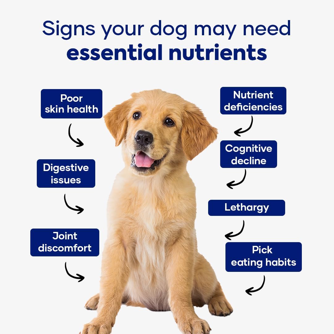 Aniwell Dog Multivitamin Chews: 10-in-1 Daily Immune, Allergy & Joint Support - görsel 3