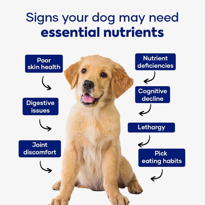 Aniwell Dog Multivitamin Chews: 10-in-1 Daily Immune, Allergy & Joint Support