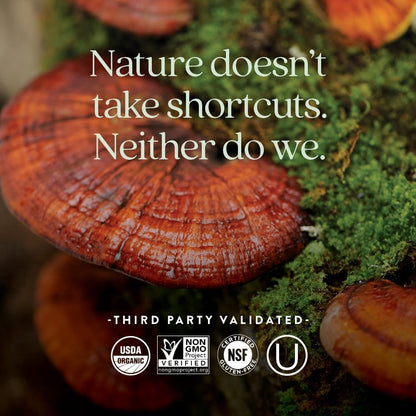 New Chapter Fermented Vitamin D3 2,000 IU – Organic, One Daily with Turmeric & Reishi Mushroom