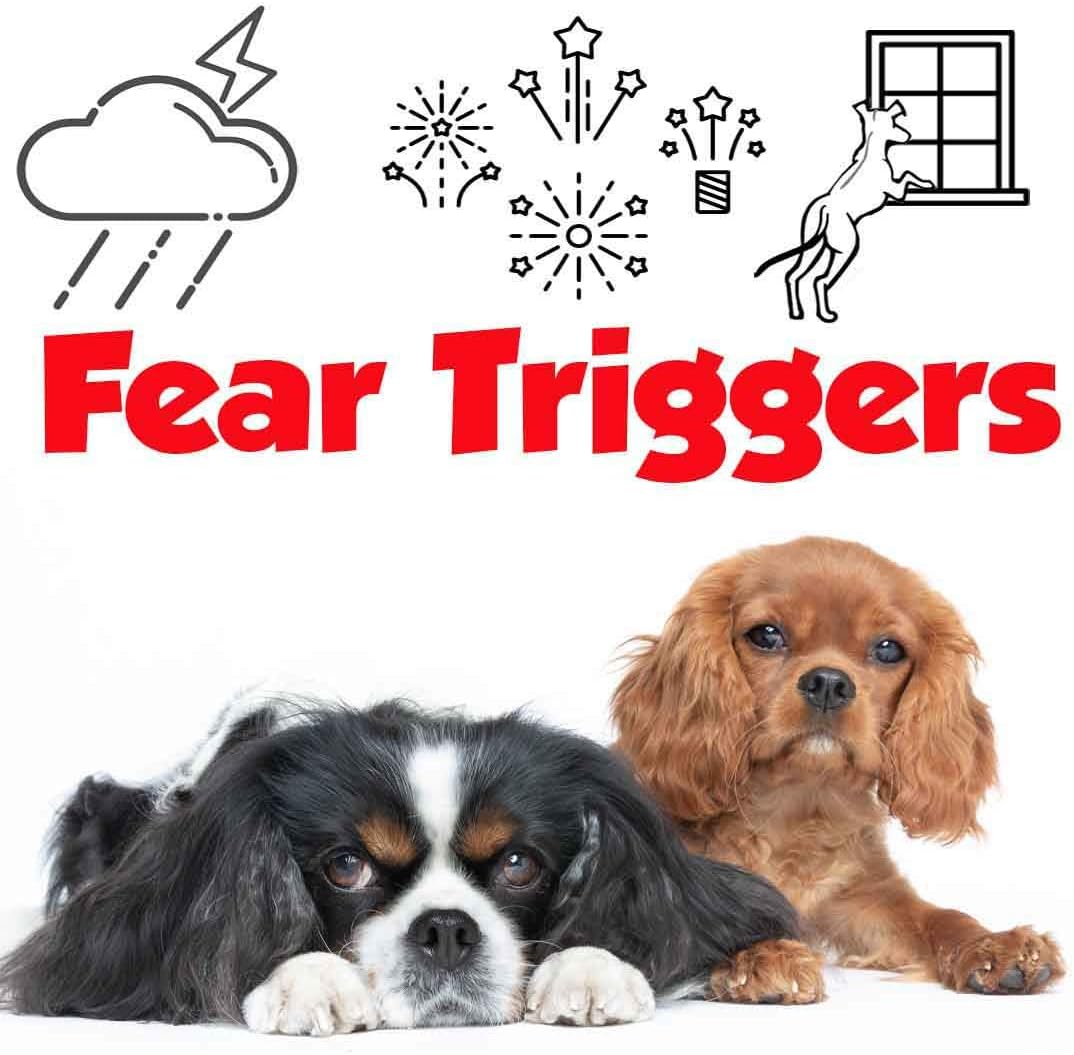 The Blissful Dog Cavalier King Charles Spaniel Relax Dog Aromatherapy Spray for Your Dog's Anxiety - görsel 5