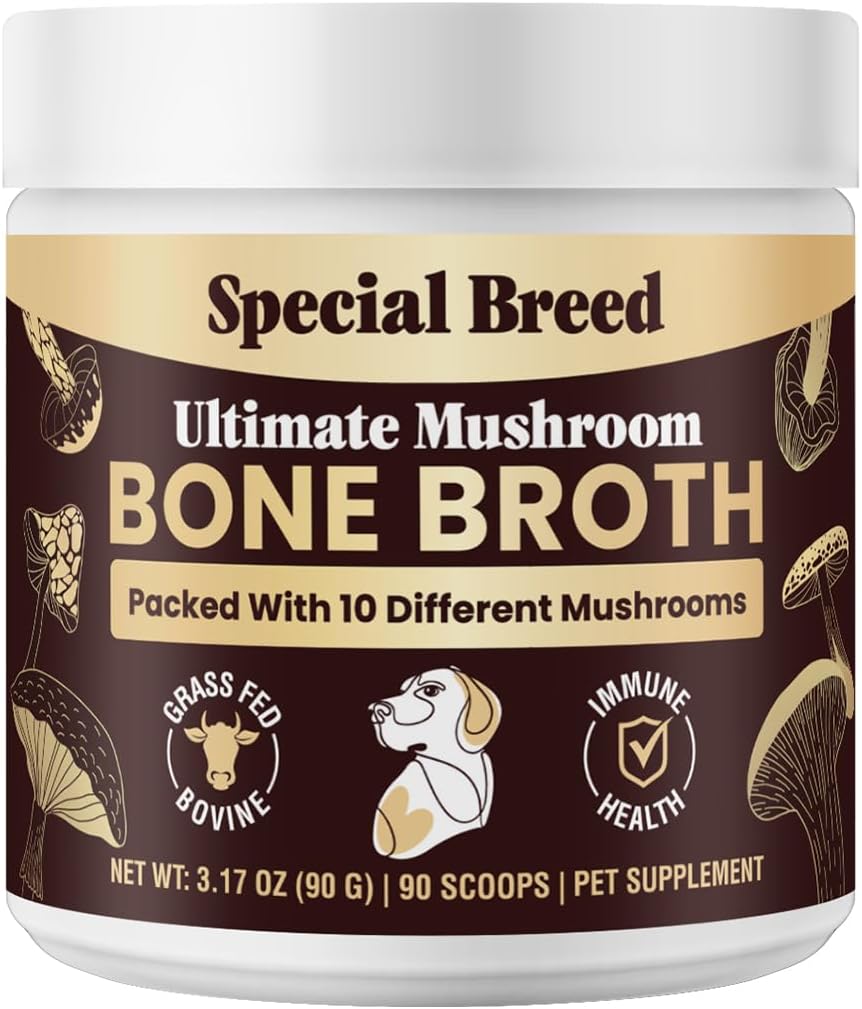 Beef Bone Broth for Dogs – High Protein Powder with Ten Organic Mushrooms and Collagen - görsel 1