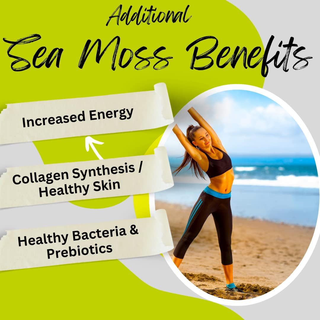 Advanced Bionetix Organic Irish Sea Moss Capsules with Bladderwrack and Burdock Root - 120 Capsules - görsel 3