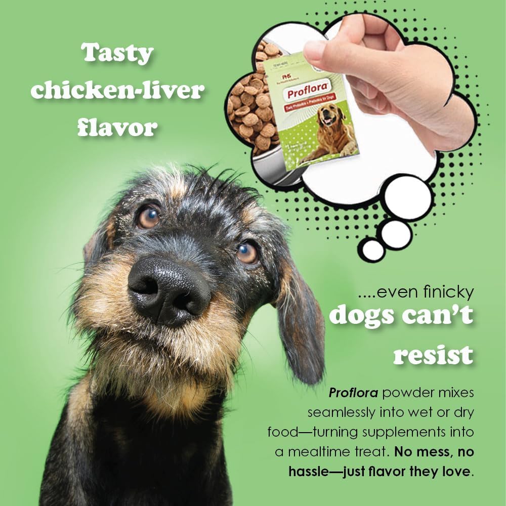 Daily Probiotics and Prebiotics for Dogs, Supports Digestive Health and Immune System, 30 Powder Sachets, 30g (1-Pack) - görsel 5