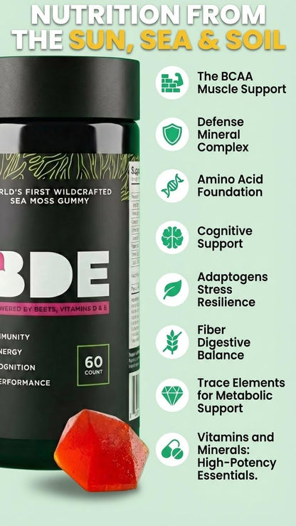 BDE Wildcrafted Sea Moss Gummy - Multivitamin with Maca Root, Beets, Lion's Mane, Vitamin D+E, Zinc - 60 Gummies