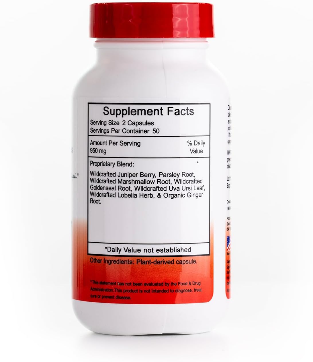 Christopher's Original Formulae Kidney Formula, Natural Herbal Support, 500 mg, 100 Capsules - görsel 2