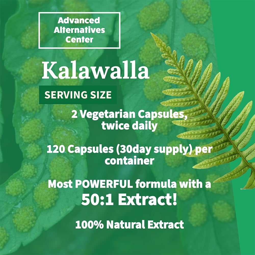 Kalawalla Organic Hope High Potency Polypodium Leucotomos Immune Support - görsel 7