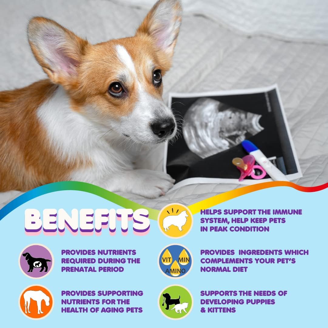 Dog Prenatal Vitamins – Multivitamin with Folic Acid, Calcium, Iron, Minerals and Amino Acids. Ideal for Pregnant, Nursing and New-born Pets – Senior Dog Supplement, Complete Puppy Multi Vitamin - görsel 4