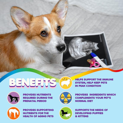Dog Prenatal Vitamins – Multivitamin with Folic Acid, Calcium, Iron, Minerals and Amino Acids. Ideal for Pregnant, Nursing and New-born Pets – Senior Dog Supplement, Complete Puppy Multi Vitamin