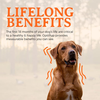 Alpha Dog Nutrition OptiPup All-in-1 Puppy – Is formulated specifically for puppies, not adult dogs. – Image 6