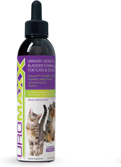UroMAXX Cat & Dog Urinary Tract Treatment - Bladder & Kidney Support with Liquid Cranberry & Glucosamine, Salmon Flavour, 170 ml Bottle (1 Pack)