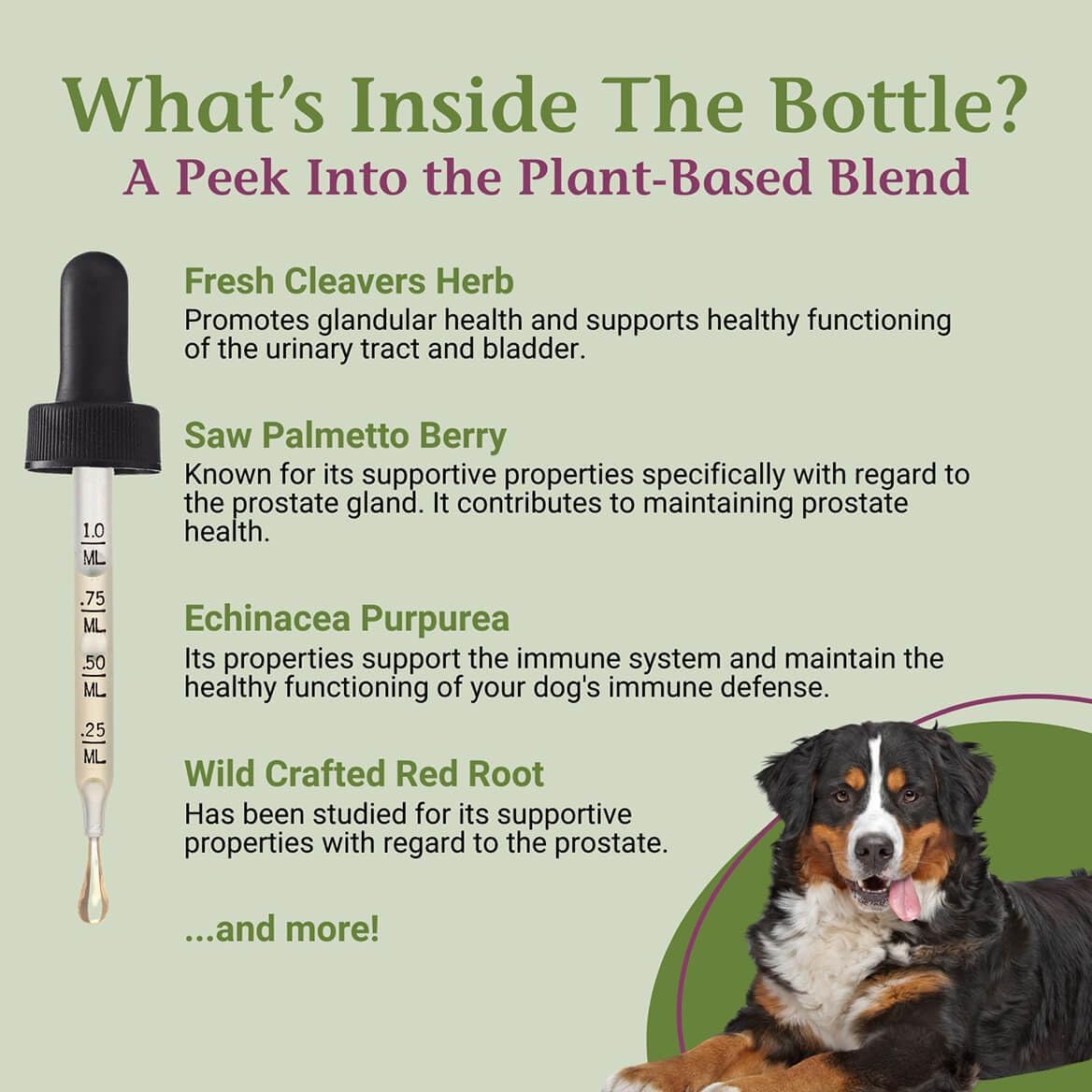 PetAlive ProsPet Drops – Herbal Supplement for Dog Prostate, Bladder & Urinary Support - görsel 4