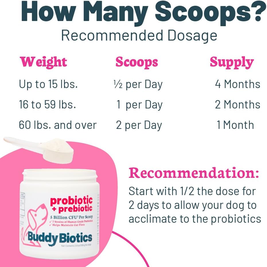Probiotic + Prebiotic Powder for Dogs – 7 Probiotic Strains with FOS, 5 Billion CFU - görsel 4